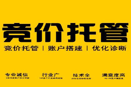 某电商平台的SEM运营实战与效果分析